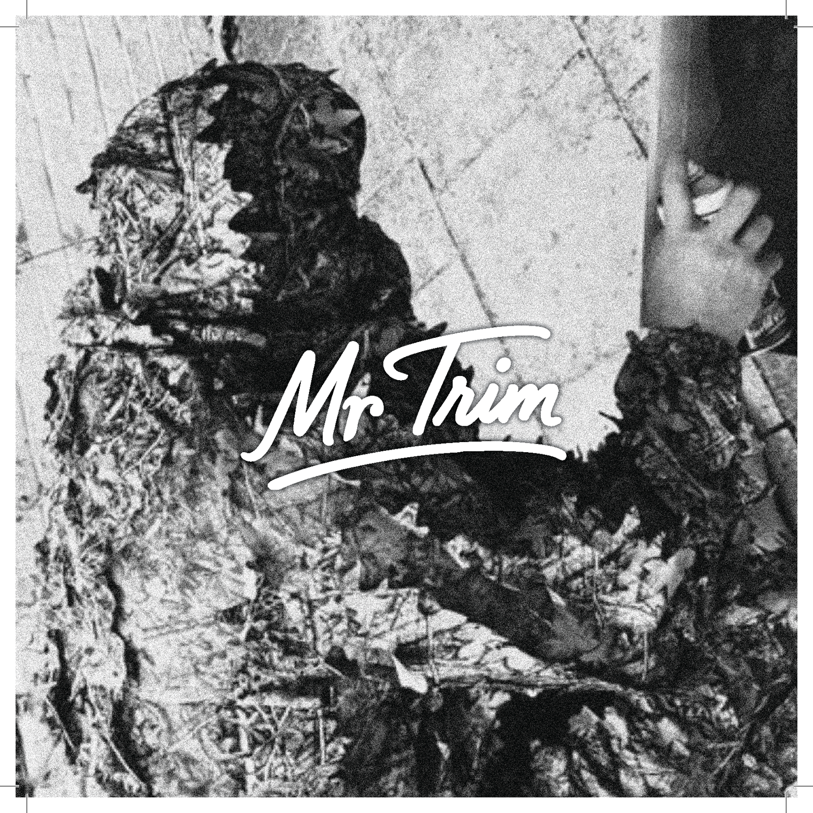 Mr Trim