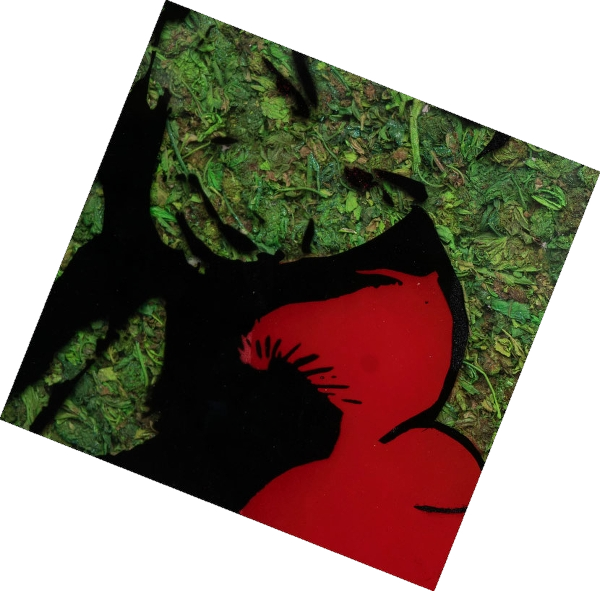 Green Mike - Mr Trim