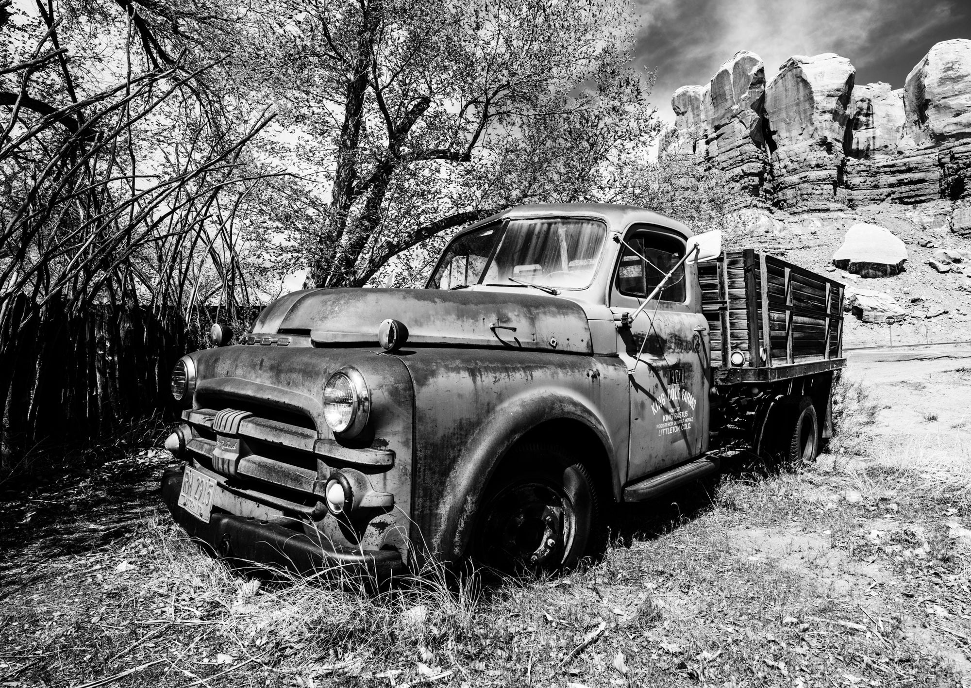 Abandoned Dodge - Julian Sansum