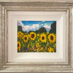Sunflower Magic - Timmy Mallett