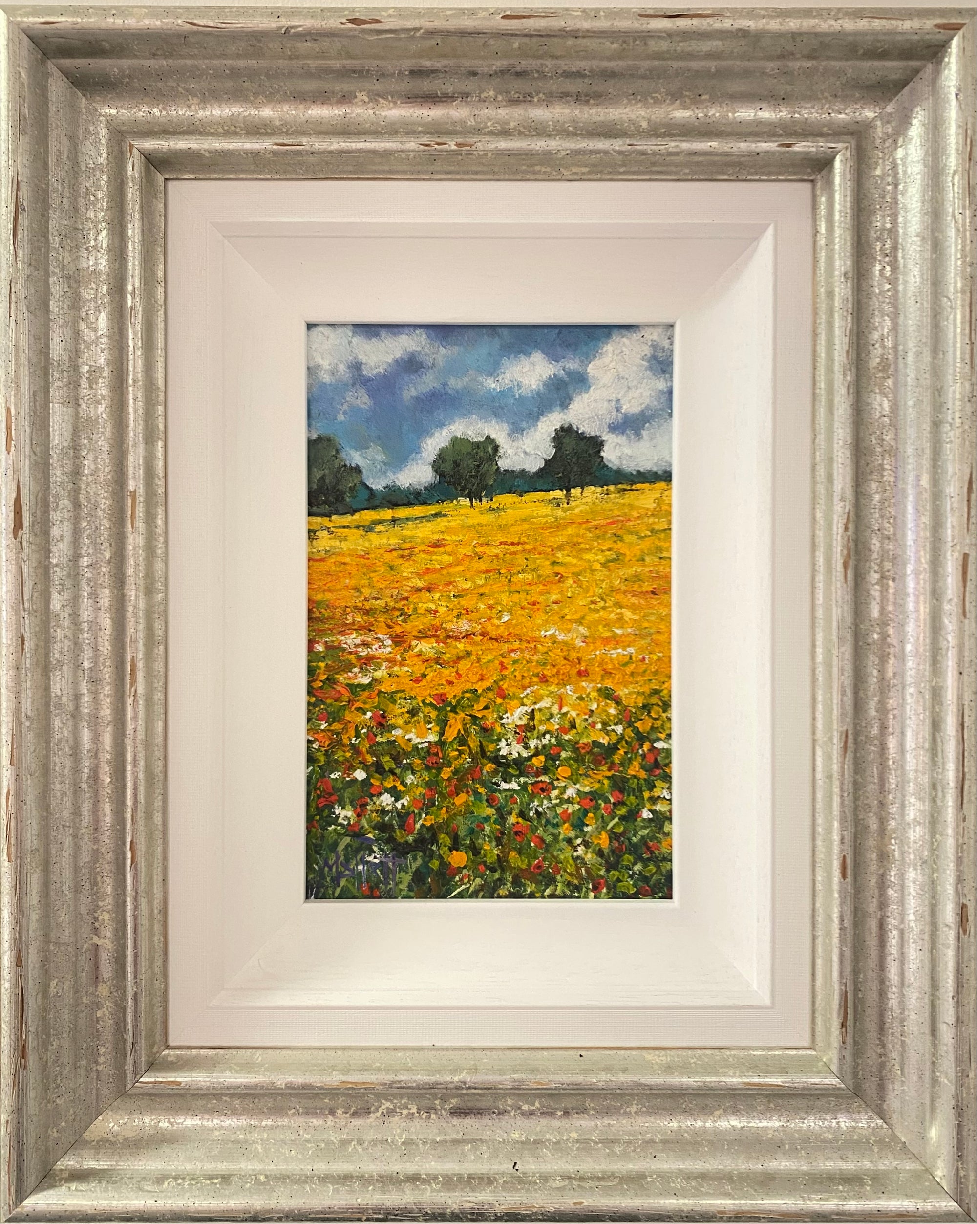 Buttercup Meadow - Timmy Mallett