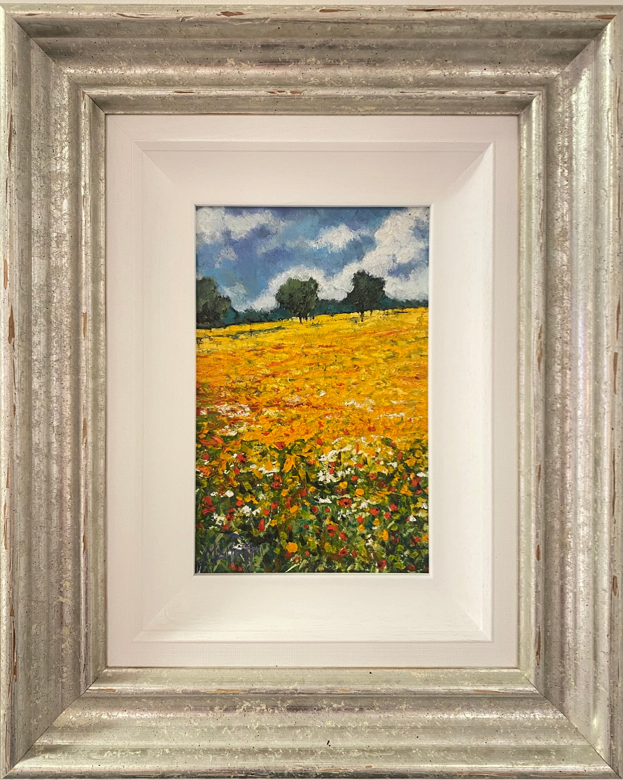 Buttercup Meadow - Timmy Mallett