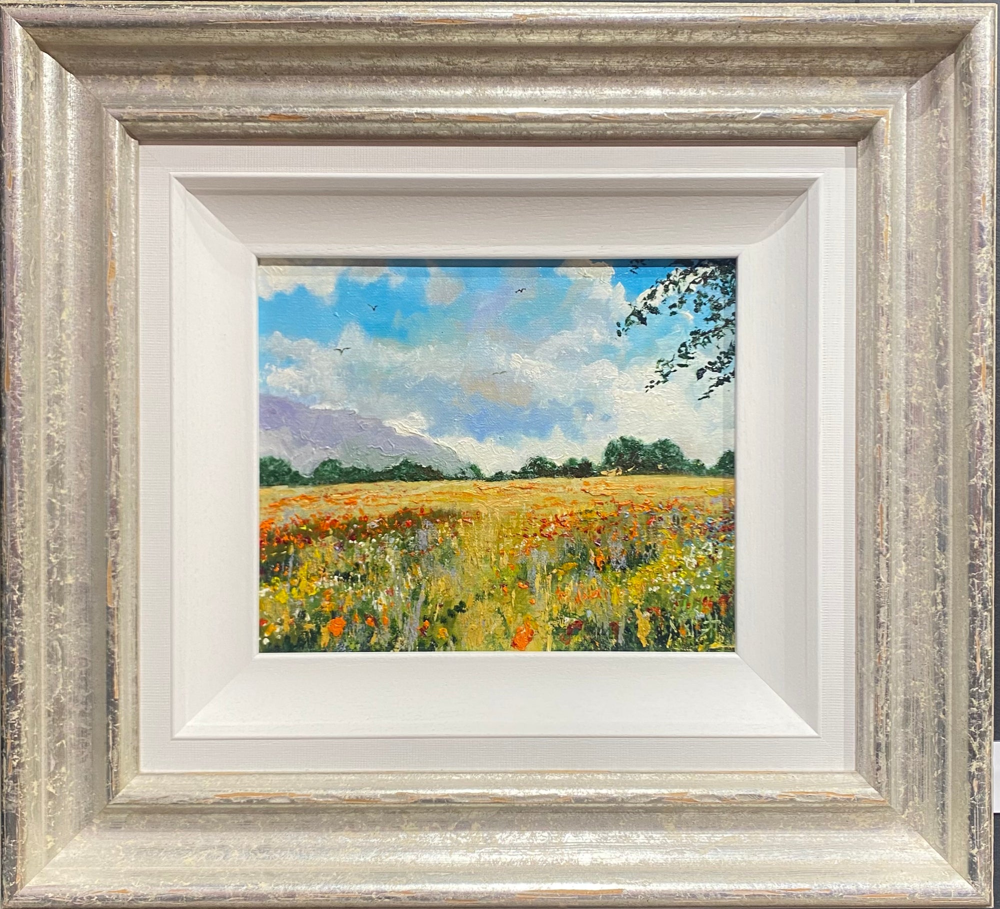 Pasture Breeze - Timmy Mallett