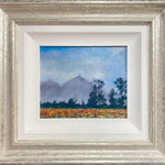 Glastonbury at Dawn - Timmy Mallett