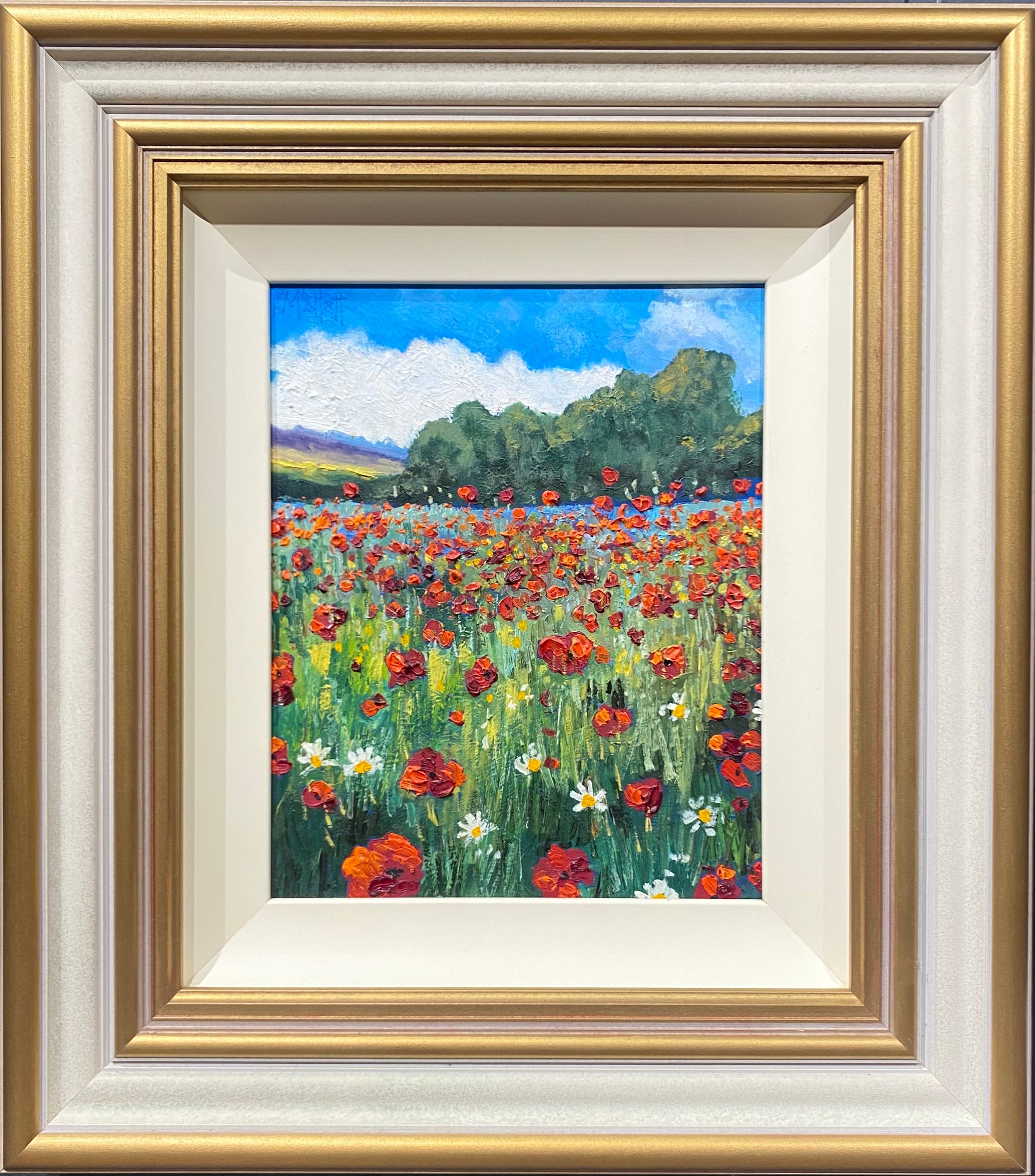 Path Through the Poppies - Timmy Mallett