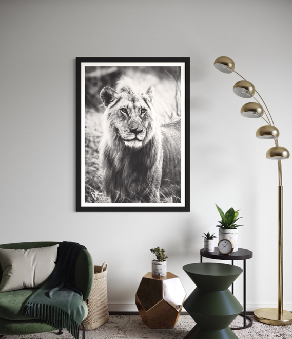 Savannah King - Julian Sansum