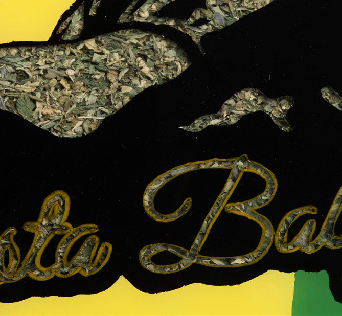 Rasta Baby - Mr Trim