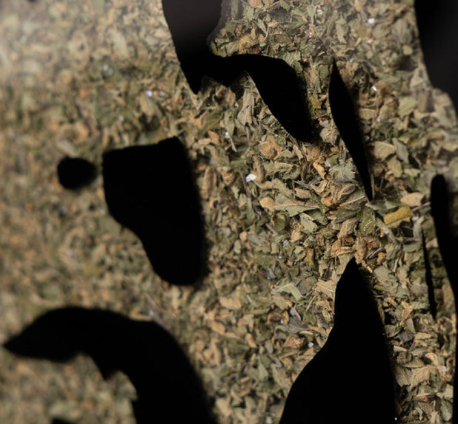 Kate on Weed - Mr Trim
