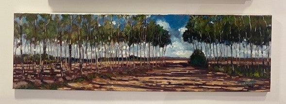 Avenue of Trees - Timmy Mallett