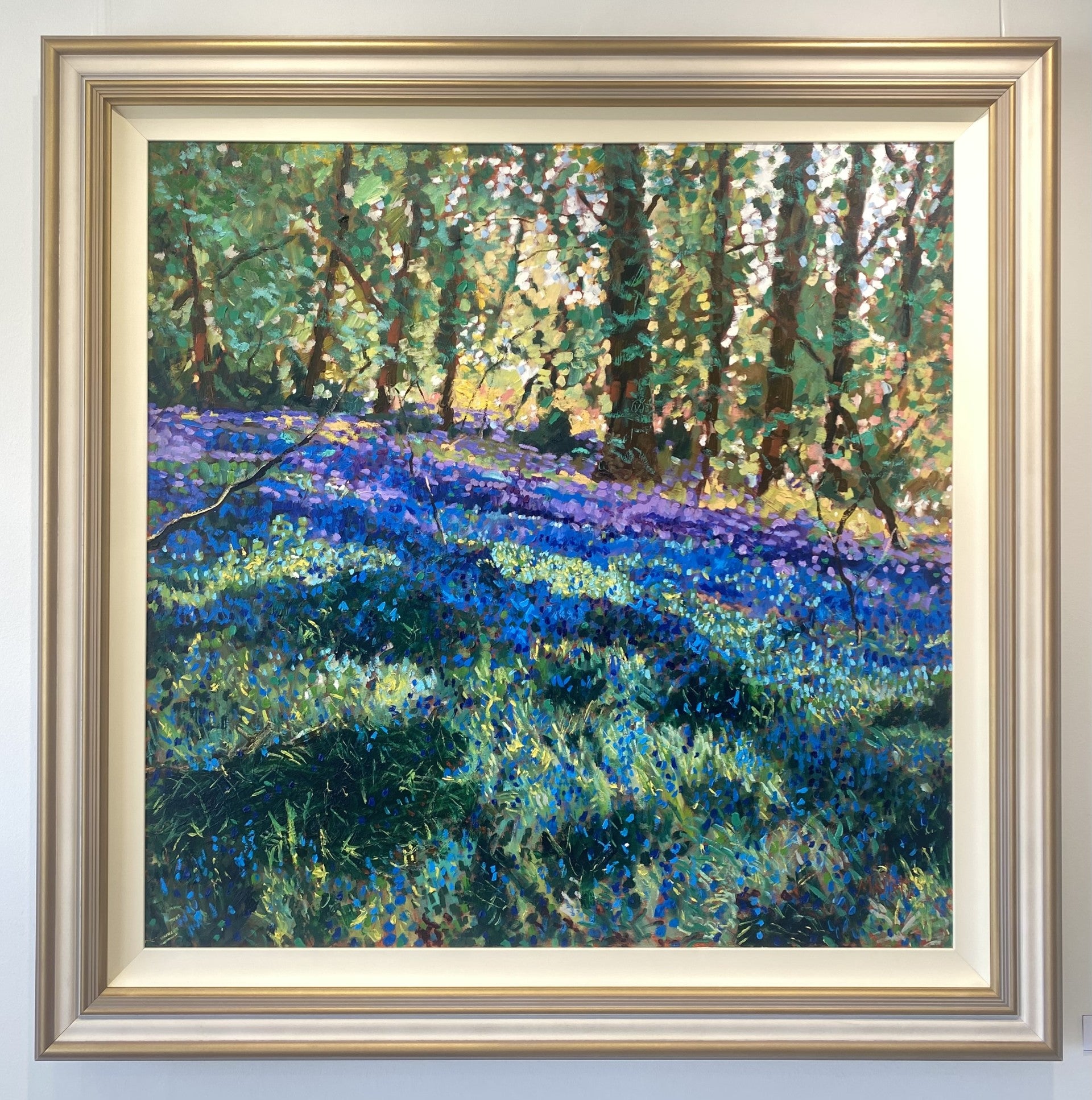 Bluebell Splendour - Timmy Mallett
