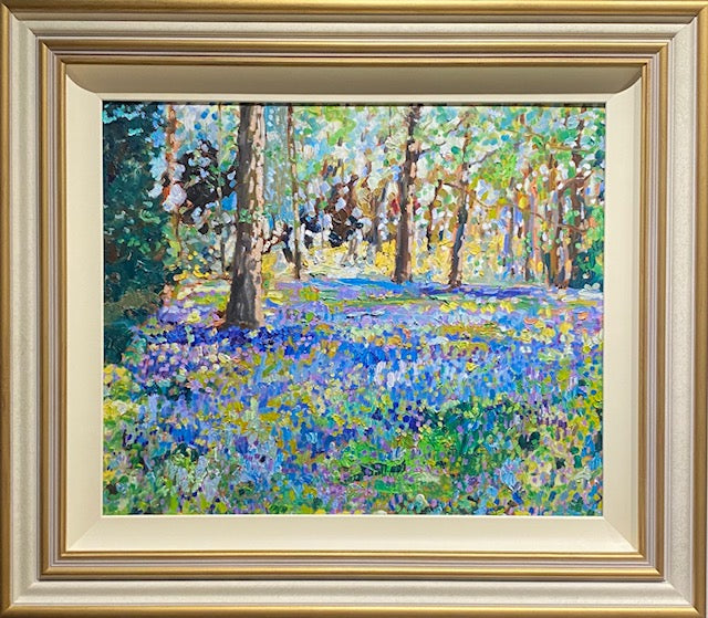 Bluebell Walk - Timmy Mallett