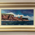 Red Cliffs - Timmy Mallett