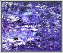 Violet Falls - Tatia Starkey