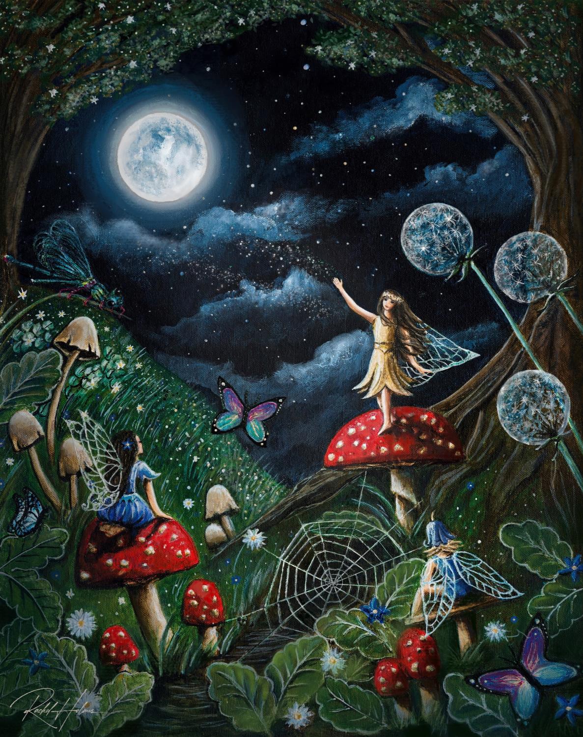 The Midnight Meeting - Rachel Holmes