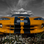 Wild Viper - Julian Sansum