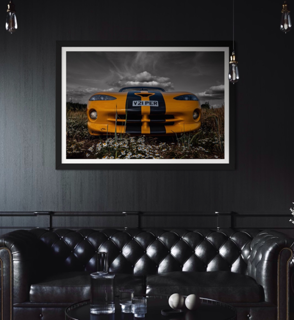 Wild Viper - Julian Sansum