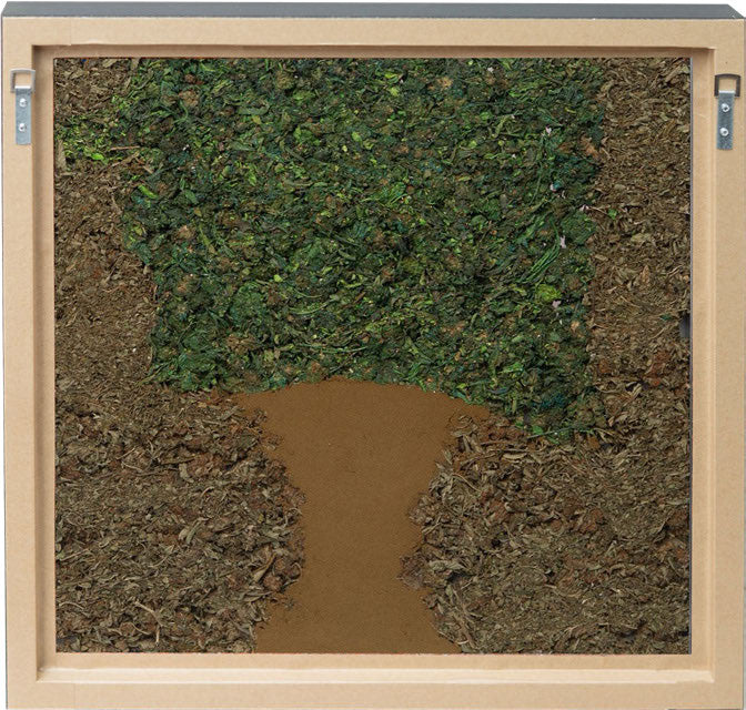 Homage to Yoshimoto Nara - Mr Trim